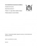 Desequilibrios globales, regulación económica y nuevas tendencias del desarrollo económico”