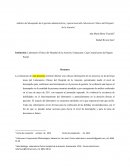 Análisis del desempeño de la gestión administrativa y operacional del Laboratorio Clínico del Hospital de la Anexión