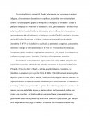 El Ecuador un país multiétnico y pluricultural