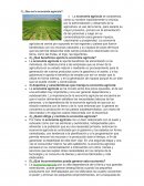 ¿Que es la economía agrícola?