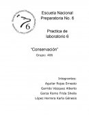 Practica de laboratorio 6 “Conservación”