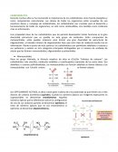 Carbohidratos. Monosacáridos
