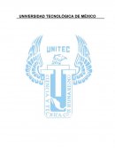CIENCIA Y TÉCNICA CON HUMANISMO Técnica con Humanismo
