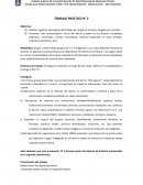 Campo de la Parctica Docente