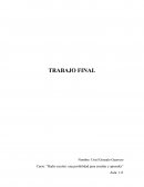 El curso, en lo personal, no presentó dificultades derivadas de lo técnico. Estaba muy familiarizado con el software utilizado y en general fueron trabajos sencillos centrados sobre todo en la parte creativa.r