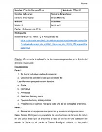Objetivo: Comprende la aplicación de los conceptos generales en el ámbito del derecho empresarial.. Página 1