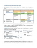 Caso Regional megatendencias.