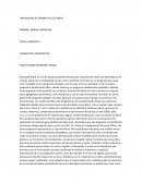 Ensayo sobre microsoft word.
