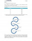 Actividad - Cadena de Suministro