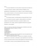 Ser un apoyo fundamental a los sectores productivos de granos básicos priorizando a las cooperativas, asociaciones y pequeños y medianos productores brindándole servicios agroindustrialec