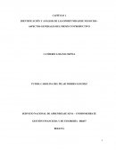IDENTIFICACIÓN Y ANÁLISIS DE LAS OPORTUNIDAD DE NEGOCIOS.