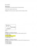BIOLOGIA Taller diagnóstico de conceptos generales de biología molecular