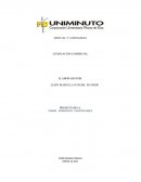 VIRTUAL Y A DISTANCIA LEGISLACION COMERCIAL