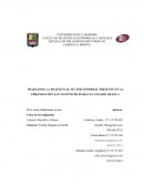 TRABAJO DE LA MUJER EN EL SECTOR INFORMAL PRESENTE EN LA URBANIZACIÓN SAN JACINTO DE MARACAY, ESTADO ARAGUA