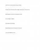 TRABAJO DE INVESTIGACIÓN SOBRE ENERGÍAS ALTERNATIVAS.