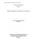CONSTITUCIÓN POLÍTICA NRC 1199 DEBERES Y DERECHOS DE LAS PERSONAS Y LOS CIUDADANOS