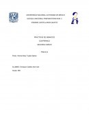 PRACTICAS DE ABANICOS COOPERNICO