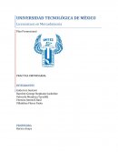 Práctica de Plan de Negocios