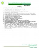 Medicina domiciliaria.