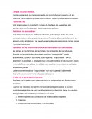 Terapia Raciona Emotiva.