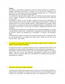 Alejandro Galvan Aportacion Individual