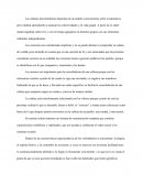 Culturas precolombinas y etnocentrismo.