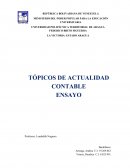 Ensayo tópico de contabilidad.