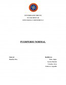 GINECOLOGIA Y OBSTETRICIA I PUERPERIO NORMAL