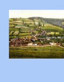 Ensayo EL PROBLEMA QUE SE DA EN LAS CALLES DE NUESTRA HERMOSÍSIMA CIUDAD