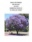 El arbol del parque.