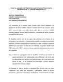 Ensayo: ¿En que contribuyo el caso de Sudafrica para el nacimiento de la Justicia Transicional?