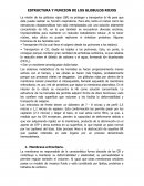 Banco de Sangre.