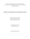 PROYECTOS DE INVESTIGACION FORMATIVA.