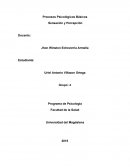 Procesos Psicologicos.