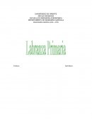 DEPARTAMENTO DE INGENIERÍA AGRÍCOLA MAQUINARÍA AGRÍCOLA (020 – 4274)