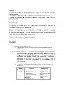 Conocer el modelo de cuatro pasos para lograr el éxito en los mercados internacionales