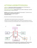 Propagacion invitrocon material tecnologico.