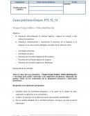 Plantilla cadena valor.