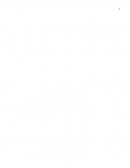 Análisis de modelo organizacional (Autozone)