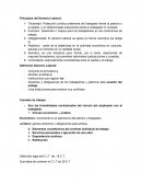 Legislacion Laboral. Principios del Derecho Laboral