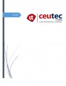 Analisis de la Planeacion "Gifts and Bows"