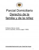 Derecho de la familia y de la niñez