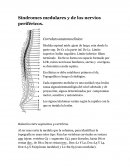 Los signos/síntomas varían según la rapidez con la que se instala la lesión.