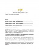 TALLER DE PLAN DE EMERGENCIA