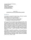 La fotosíntesis es la absorción de energía lumínica y conversión en potencial químico estable por la síntesis de compuestos orgánicos.