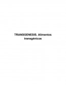 TRANSGENESIS. Alimentos transgénicos