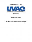 DEFINICIÓN POR LA CAUSA FINAL