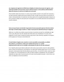 Organizacion empresarial P&G