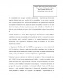 Escrito de Organizaciones Iberoamericanas