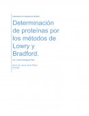 DETERMINACION DE PROTEINAS POR METODO DE LOWRY Y BRADFORD